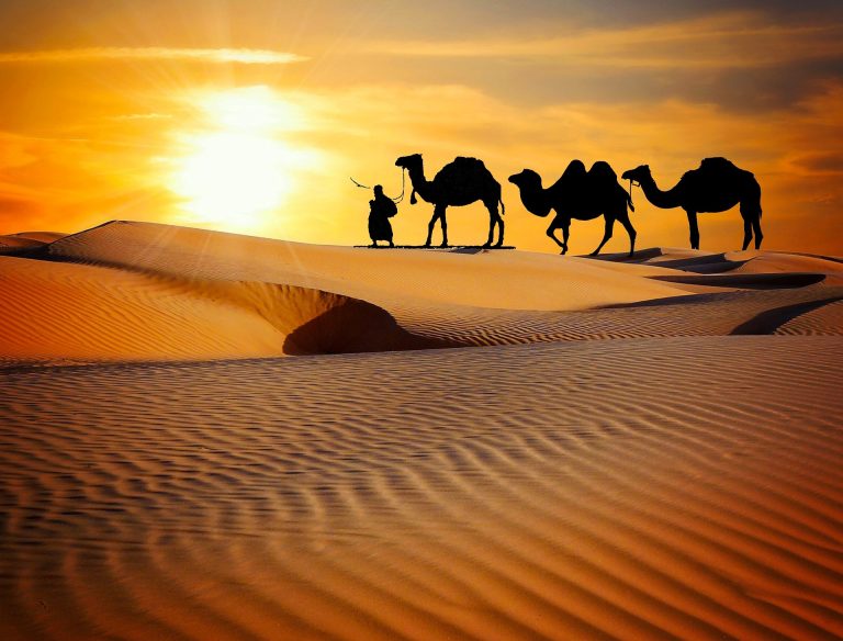 caravan-3341872_1920